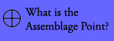 what is the assemblage point?