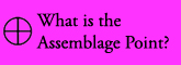 what is the assemblage point?