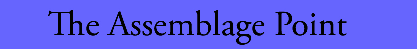 The Assemblage Point